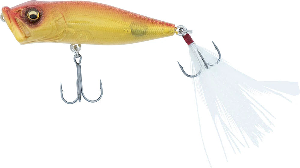 Megabass Pop X Topwater Popper