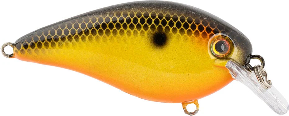 Strike King KVD Elite 25 Squarebill Crankbait 275 Inch