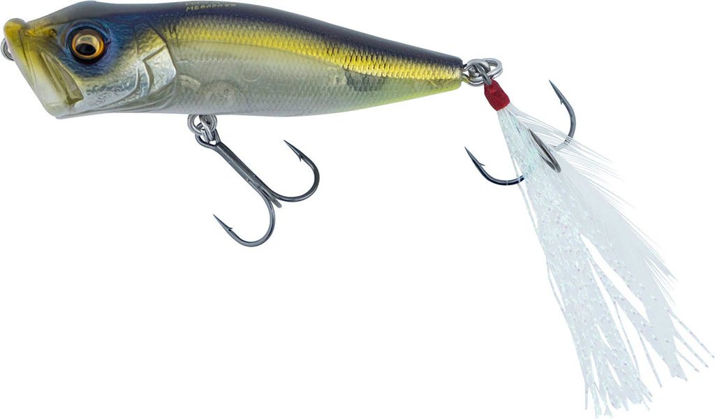 Megabass Pop X Topwater Popper