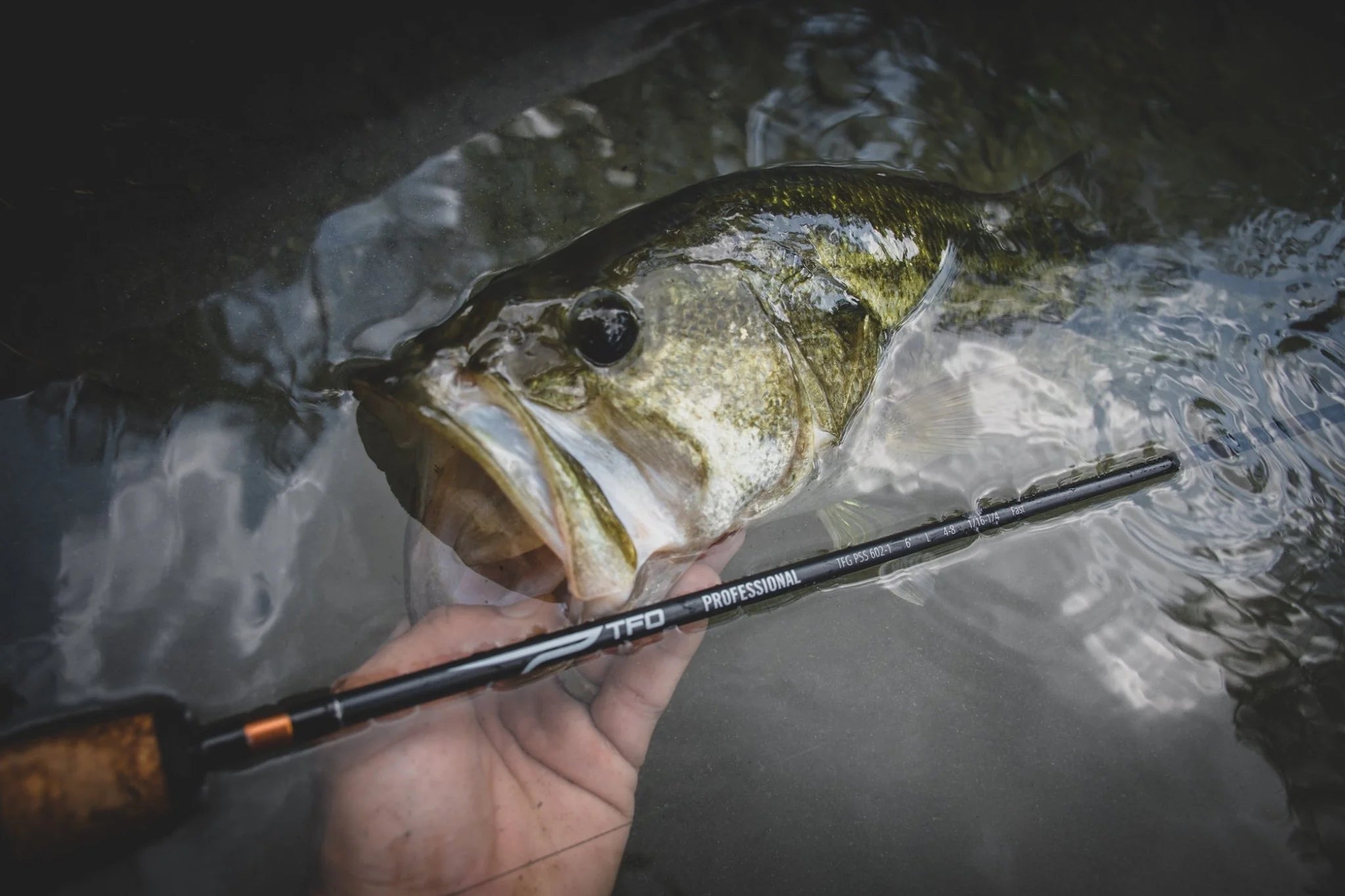 Temple Fork Outfitters Professional Spinning Rods