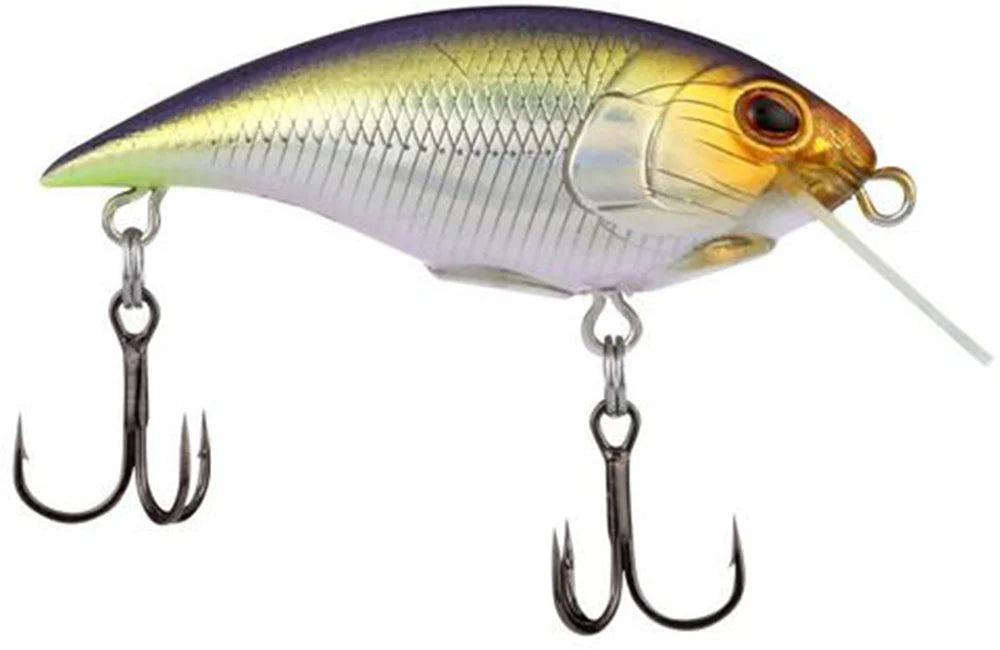 Berkley Shallow Money Badger Crankbait 275 Inch