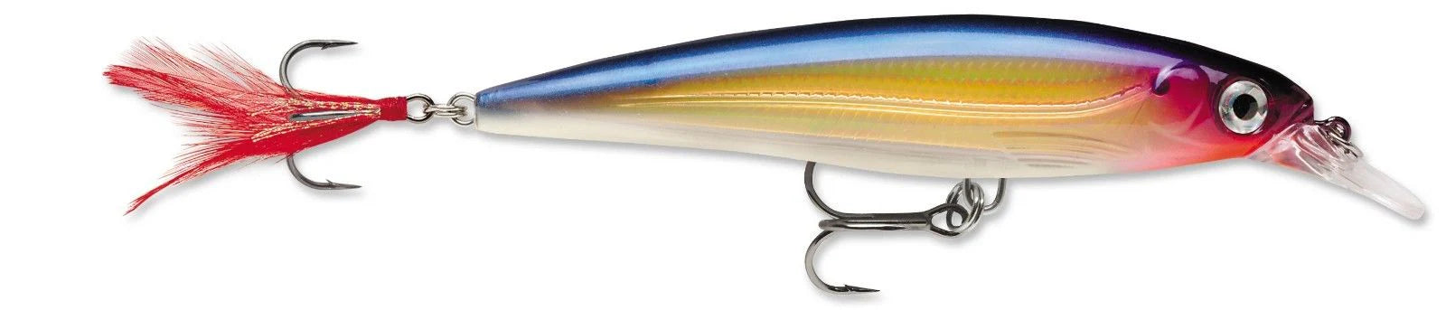 Rapala XR 10 X Rap Medium Diving Jerkbait 4 Inch