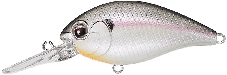 Evergreen International CR 8 Medium Diving Crankbait