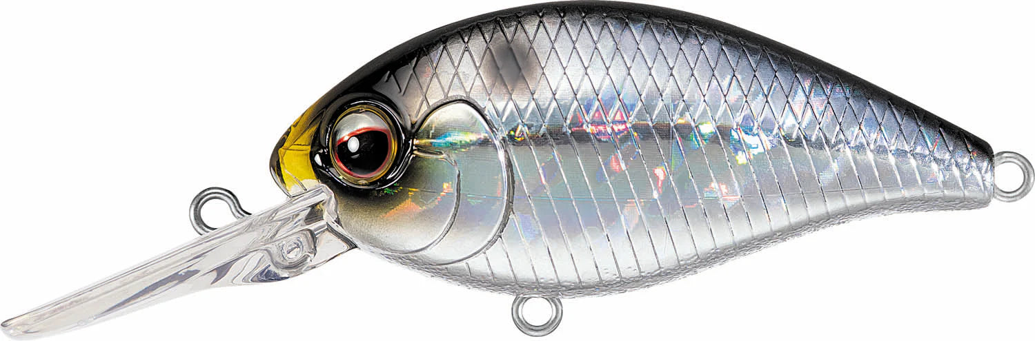 Evergreen International CR 6 Medium Diving Crankbait
