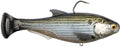 Z Man Shadtron Line Through Fast Sinking Swimbait 6 Inch