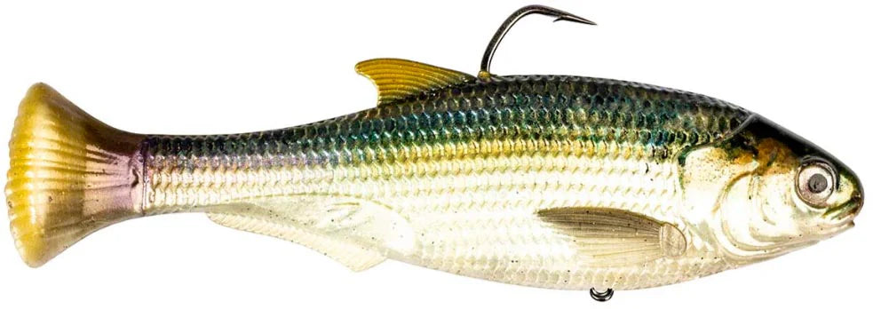 Z Man Shadtron Line Through Fast Sinking Swimbait 6 Inch