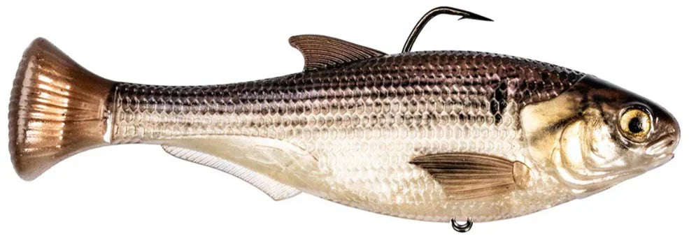 Z Man Shadtron Line Through Fast Sinking Swimbait 6 Inch