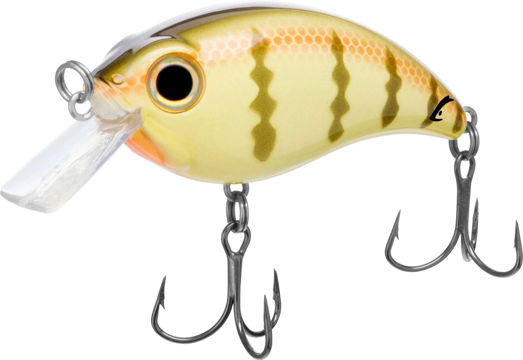 Bill Lewis ATV 25 Squarebill Crankbait 275 Inch