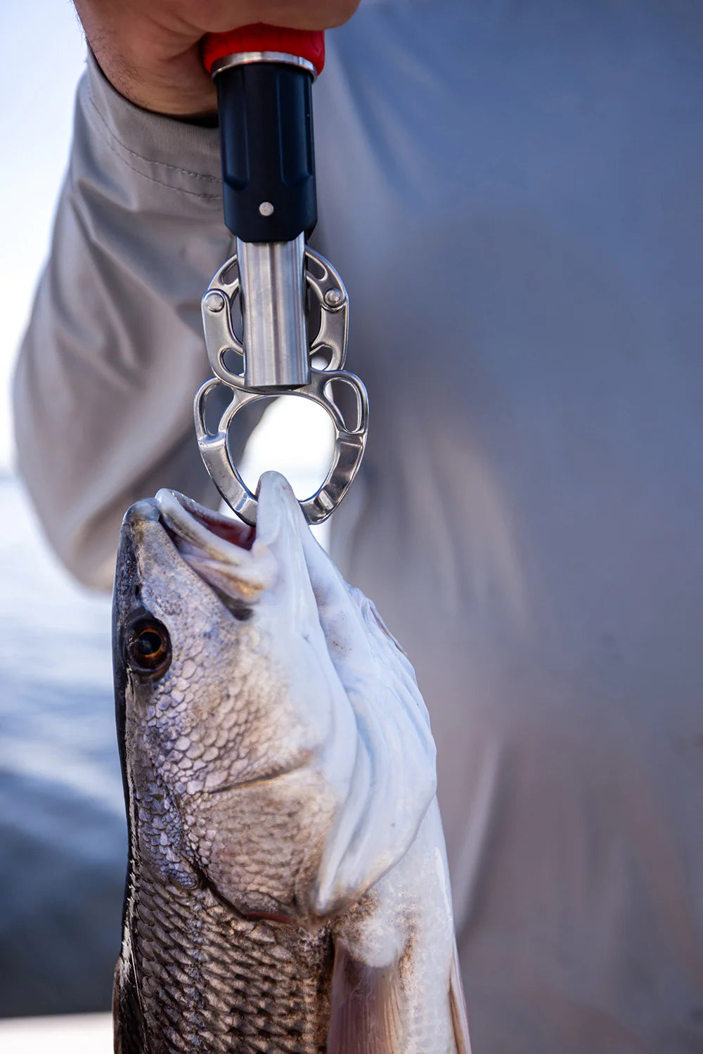 Bubba Fish Lip Grabber Scale Combo 20LB Rating