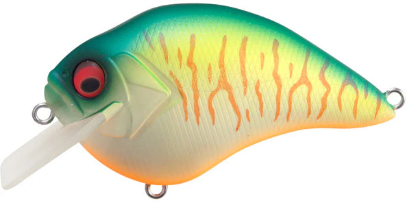 Megabass S Crank 12 Shallow Squarebill Crankbait