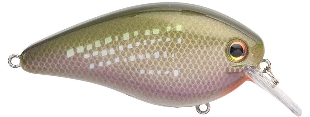 Strike King KVD Elite 25 Squarebill Crankbait 275 Inch