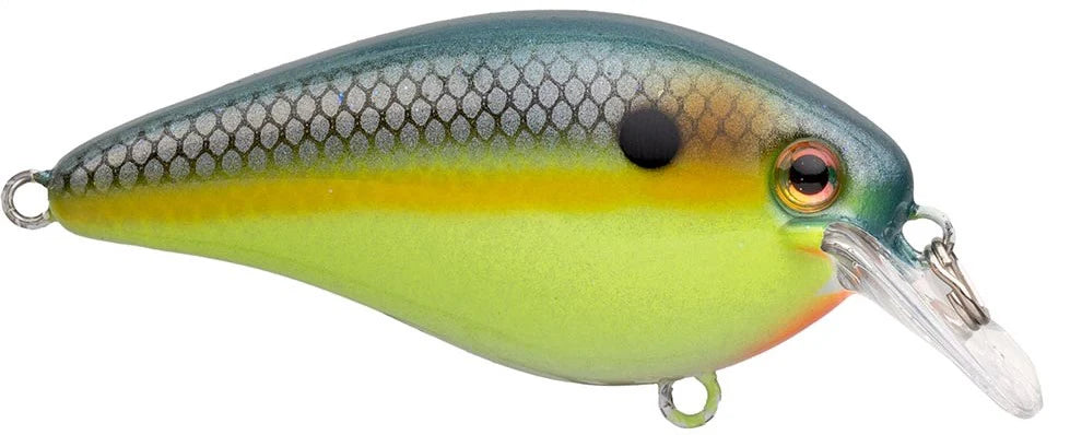 Strike King KVD Elite 25 Squarebill Crankbait 275 Inch