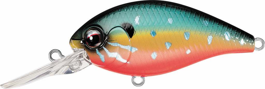 Evergreen International CR 6 Medium Diving Crankbait