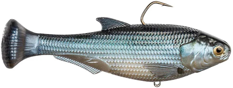 Z Man Shadtron Line Through Fast Sinking Swimbait 6 Inch
