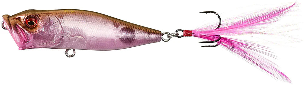 Megabass Pop X Topwater Popper