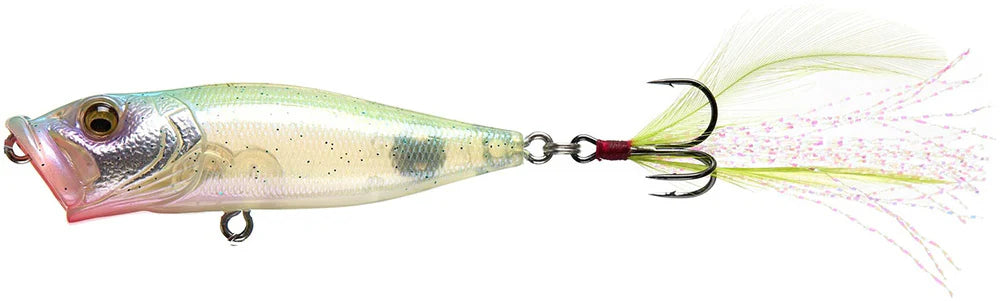 Megabass Pop X Topwater Popper