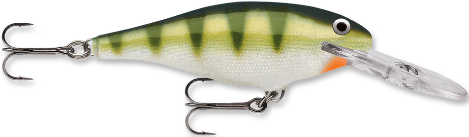 Rapala Shad Rap 3 1 2 inch Deep Diving Crankbait SR09