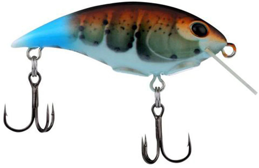 Berkley Shallow Money Badger Crankbait 21 Inch